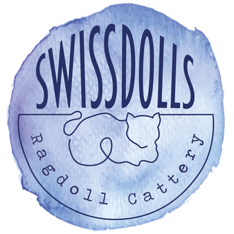 SwissDolls Cattery
